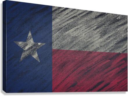 Texas flag Canvas Print