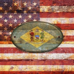 Delaware flag