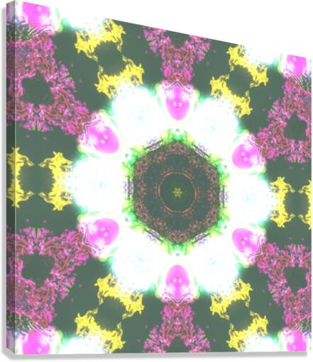 Face Space Canvas Print
