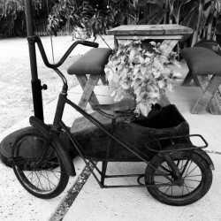 Old cycle