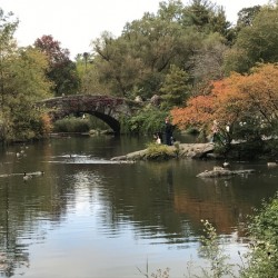 Central Park NY