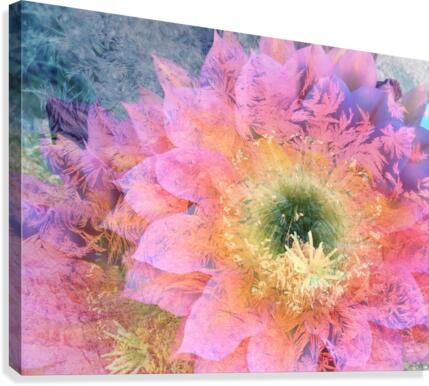 Delicate Blossom Canvas Print