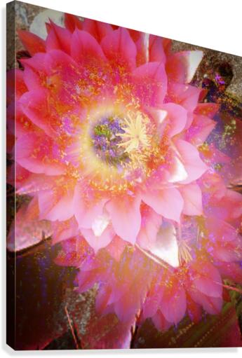 Vibrant Double Canvas Print