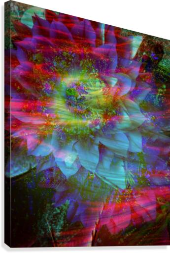 Showy Bloom Canvas Print