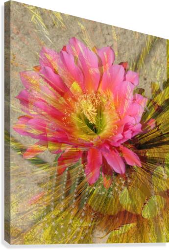 Pastel Rays Canvas Print