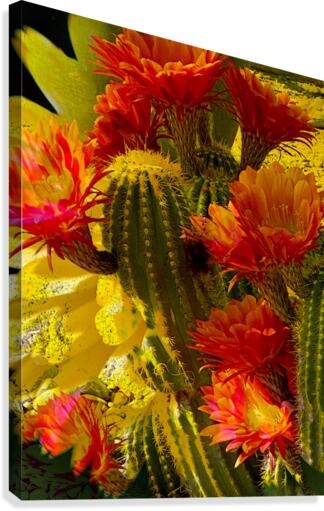 Orange Glory Canvas Print
