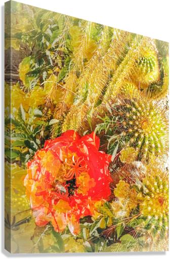 Red Prickles  Canvas Print