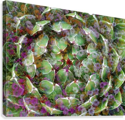 Artichoke Patch Canvas Print