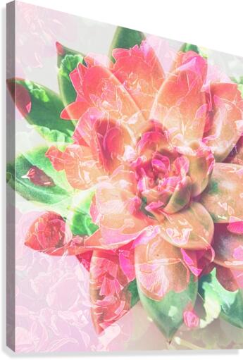 Dancing Petals Canvas Print