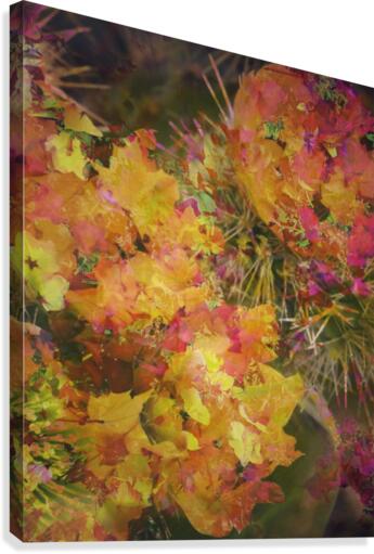 Magical Cactus Canvas Print