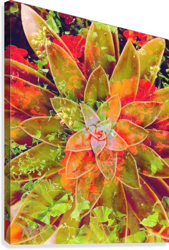 Desert Design Canvas Print