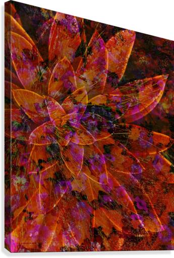 Desert Star Canvas Print