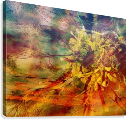 Desert Breeze Canvas Print