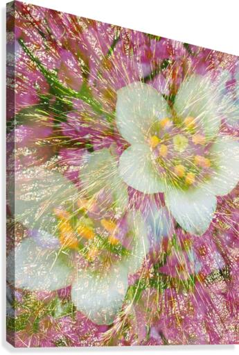 Soft Rain Canvas Print