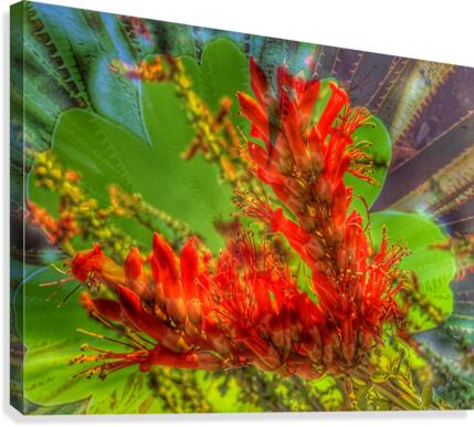 Desert Fire Canvas Print