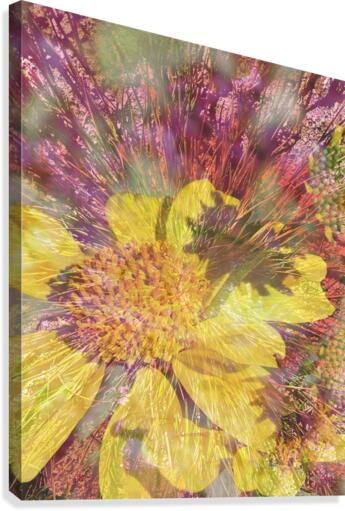 Lemon Sun Canvas Print