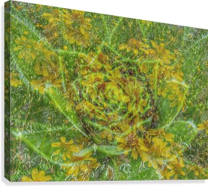 Volcanic Splendor Canvas Print