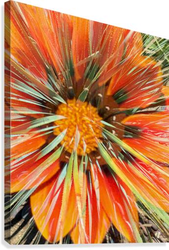 Orange Sunset Canvas Print