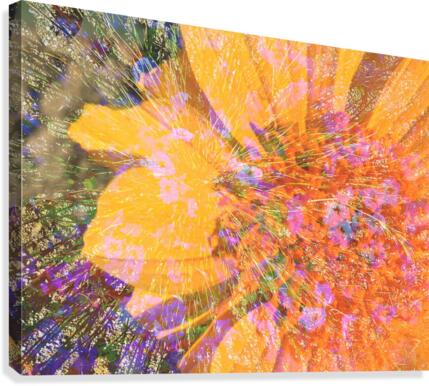 Radiant Sun Canvas Print
