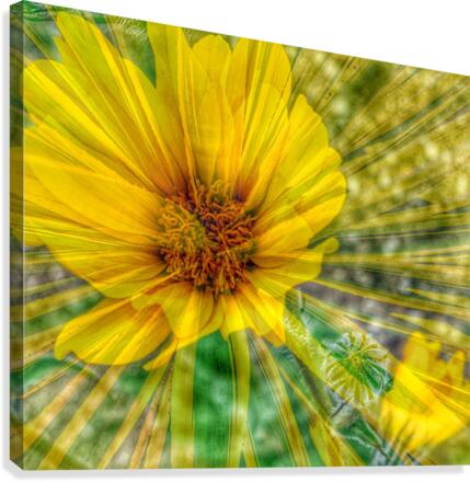Lemon Spritz Canvas Print