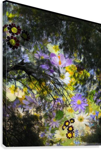 Wildly Fun Canvas Print