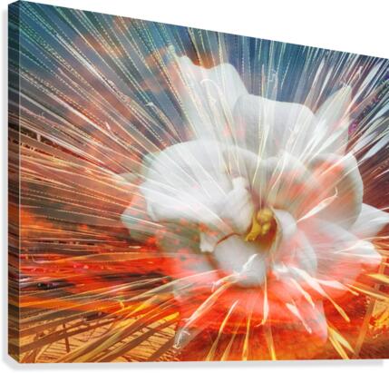 Blazing Charm Canvas Print