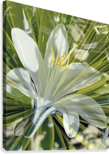 Open Joy Canvas Print