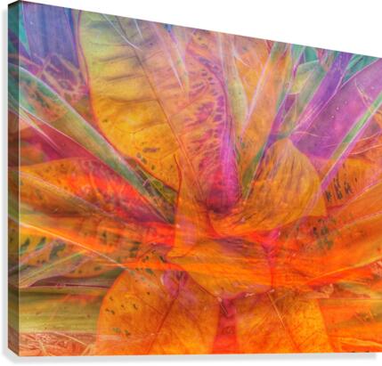 Dramatic Sunset Canvas Print