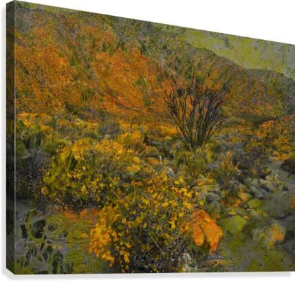 Desert Splendor  Canvas Print