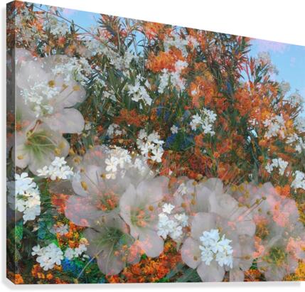 Flowing Tide Canvas Print