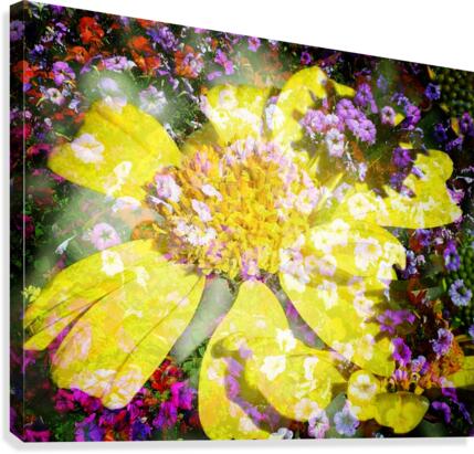 Lemon Rain Canvas Print