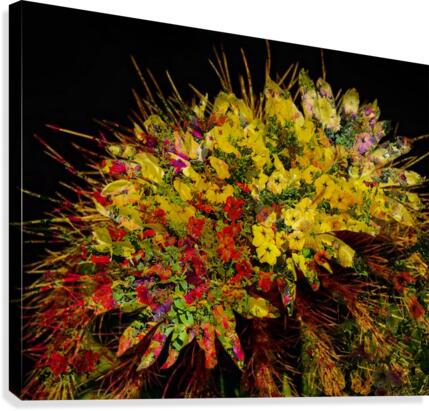 Bold Charm Canvas Print