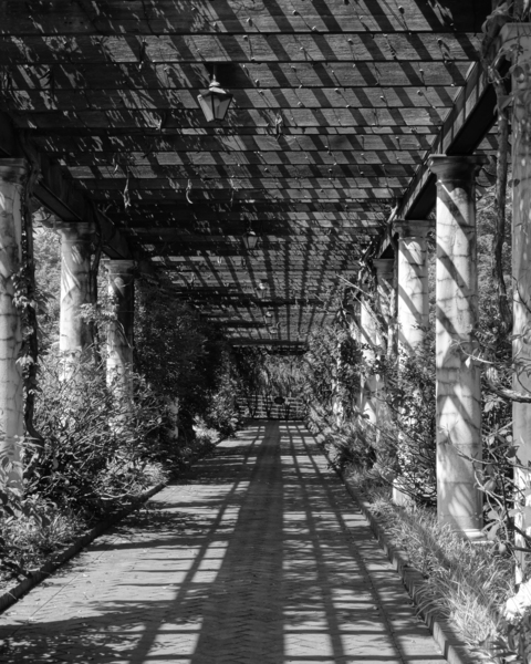 Perspective Print