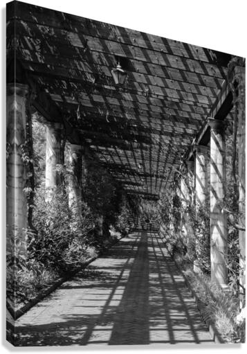 Perspective Canvas Print