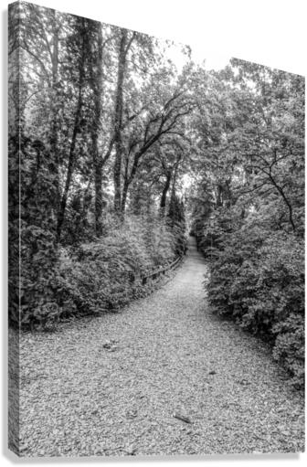 Trail Blaze Canvas Print