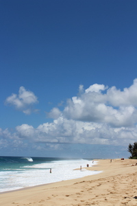IMG 0455