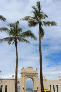 IMG 0617