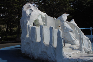 IMG 3683