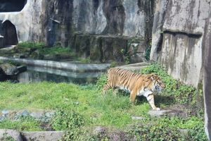 IMG 3737