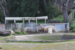 IMG 3747