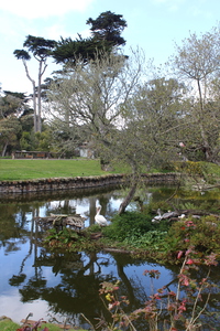 IMG 3779