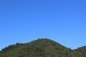 IMG 3942