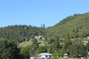 IMG 3944