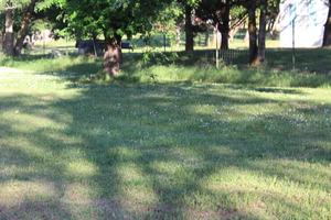 IMG 3983