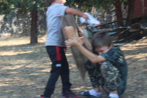 IMG 4336