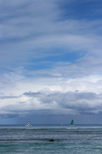 IMG 0636 Print