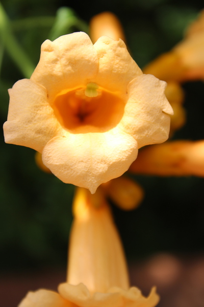 IMG 1894 Print