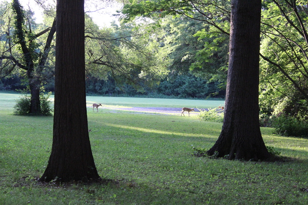 IMG 2020 Print