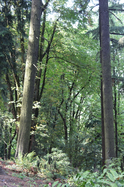 IMG 2920 Print