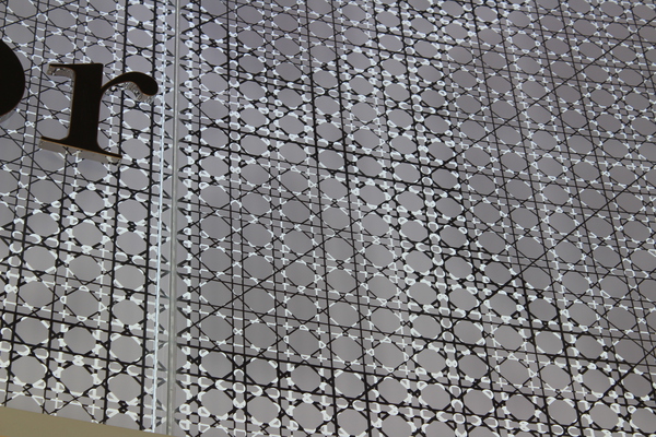 IMG 3118 Print
